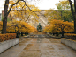 Art Institute of Chicago, South Garden. Photograph courtesy The Cultural Landscape Foundation.