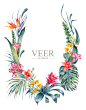 Natural summer exotic watercolor wreath