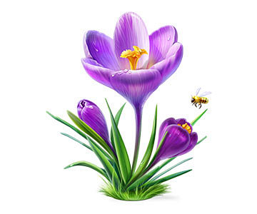 Custom icons - Flowe...
