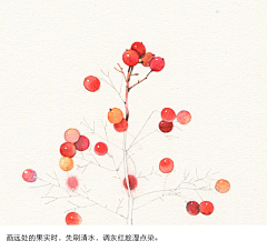 果酱果采集到水彩