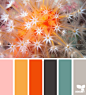 Design Seeds® | find your palette