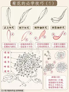 国画入门｜菊花的必学技巧（1）简单好学‼️