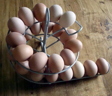 创意工坊：鸡蛋架 。