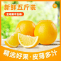 电商食品水果简约商品主图