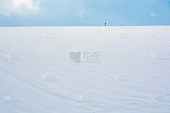 的字段
