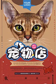 宠物店海报宣传招聘设计单页传单