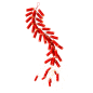 新年立体鞭炮