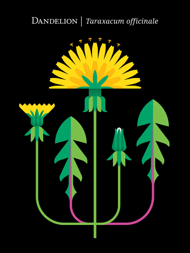 Flower and Plant Mod...