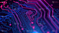 紫色、紫色、蓝色霓虹背景采用数字综合网络技术。