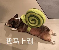 你手机里最搞笑的表情包有哪些（可以关闭水印吗）？ - 知乎 : 我决定把手机里的好笑表情包都拿出来，所以……多图预警！这个更得可能慢一些，我还做了几个合集，在这个…