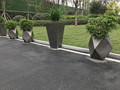 鹦鹉君采集到花器