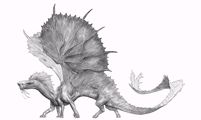 Doodles and Dragons