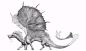 Doodles and Dragons