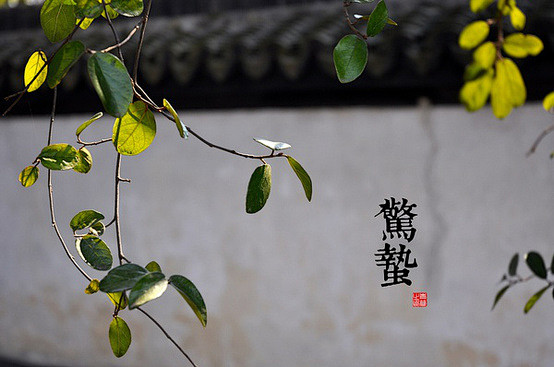 惊蛰：《月令七十二候集解》中说：“二月节...