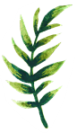 手绘水彩森系植物花卉火烈鸟贺卡装饰免抠图案 手账幅 (58)