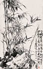 【  新梢凝翠，叶叶清风 …  】 ​​​​