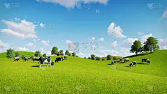 风光通用实景合成横板草原放牧背景图片素材图片_其他图片图片素材-花瓣网