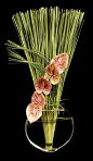 Ovando Floral and Event Design: 