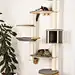 Wall-Mounted Cat Tree Dolomit XL Tofana | LOWEST PRICES GUARANTEED | FREE DELIVERY