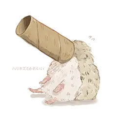 【我可不是扫帚】刺猬特辑 : 刺猬的魅力就是其圆滚滚的身体和非常可爱的表情。最近，很多人都开始养刺猬宠物了。刺猬背上长的大约2000根刺是由皮肤变硬后形成的。虽然刺猬看起来感觉摸上去会很疼，但是当它们的刺没有竖起来的时候，是可以放在手心的。抱起来时才能看到的软软的肚皮和肉球真是超级可爱。
这次就为大家送上带刺却又圆滚滚可爱至极的刺猬的插画特辑。
