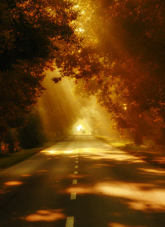 Photograph The road ...