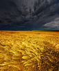 暴风雨即将来临，麦田，德国
Approaching Storm, Barley Field, Germany