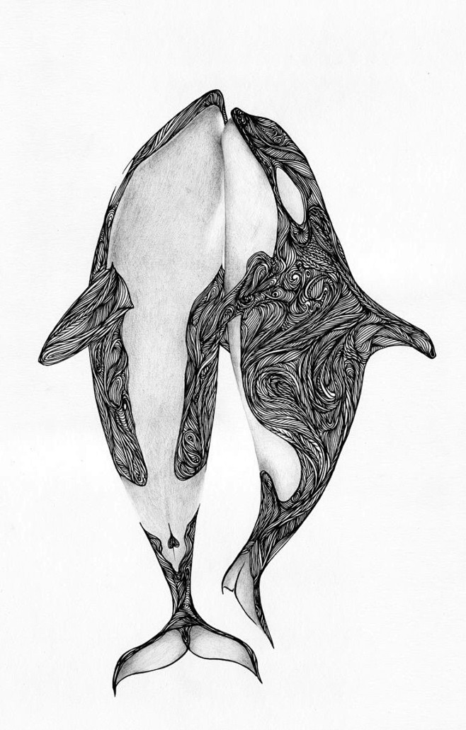 鲸鱼 · 手绘