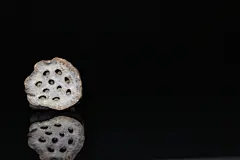花朵干花节日黑色背景鲜花 花朵素材背景素材818A2774 – 饿狐背景网站-微距高清设计素材免费图片下载海报壁纸摄影背景素材，背景图，背景墙，背景板，背景图片，背景纹理，背景板设计，背景材质，背景大图