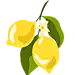 复古清新水果植物柠檬樱桃蓝莓背景印花免抠PNG元素 AI矢量素材 (33)