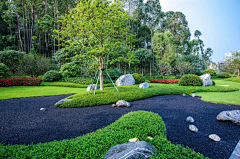 Masterecho采集到枯山水
