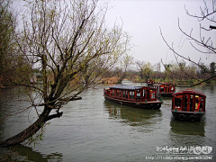 Tanghui2008采集到非诚勿扰西溪湿地（上