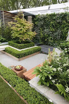 小金子别墅庭院设计师采集到景观节点