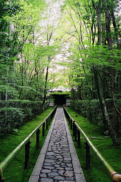 倥白采集到风景