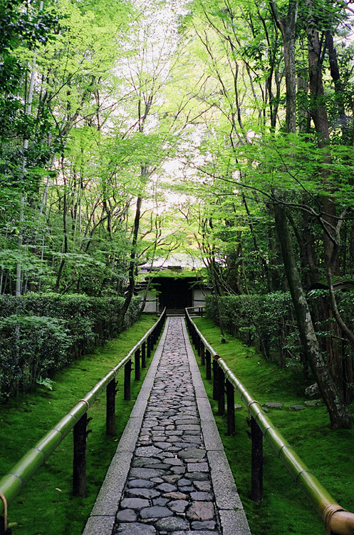  #庭院#