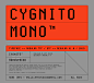 Cygnito Mono — New Modular Font