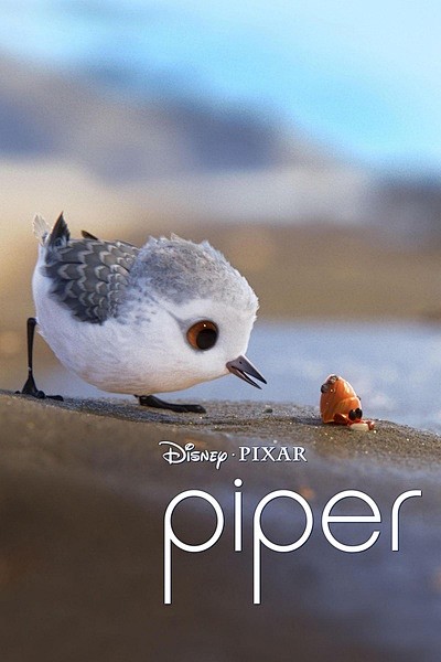 第八十九届（2017）
鹬 Piper ...