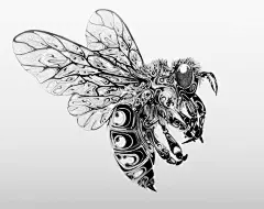 英国插画师 Si Scott 一组充满曲线美感的手绘动物插画 ​​​​