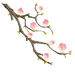 手绘粉色玉兰花花卉植物元素