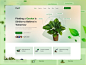 Plants Website Design by Madbrains Technologies LLP on Dribbble