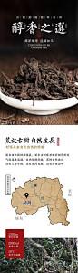 【素材能量站】电商移动端 淘宝详情页 茶叶 云南 普洱茶 陈年普洱|990572 