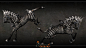 【新提醒】【CG模型】【TERA-Vehicle_horse】写实版斑马坐骑3D模型资源动物 怪物 宠物 坐骑CG帮美术资源网 -www.cgboo.com