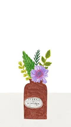 简笔画风格的花花草草小插画插图