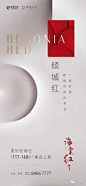 绿城·海棠印月广告作品集 : 回复关键词，自动获取节日稿/作品集