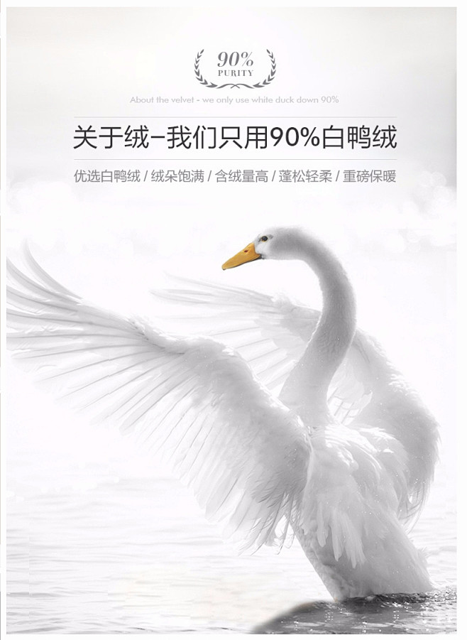 90%白鸭绒_01