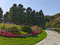 IMG_20201108_124829