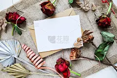 秋天的枯花、枯叶和枯枝组成