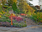 The New Rock Garden offers a fresh and uniquely Canadian horticultural collection : World Landscape Architecture is the leading landscape architecture industry website for landscape architects and design professionals