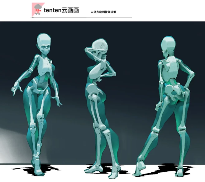 人体结构与骨架