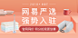 yanxuanweb