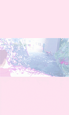 少女心樱花壁纸